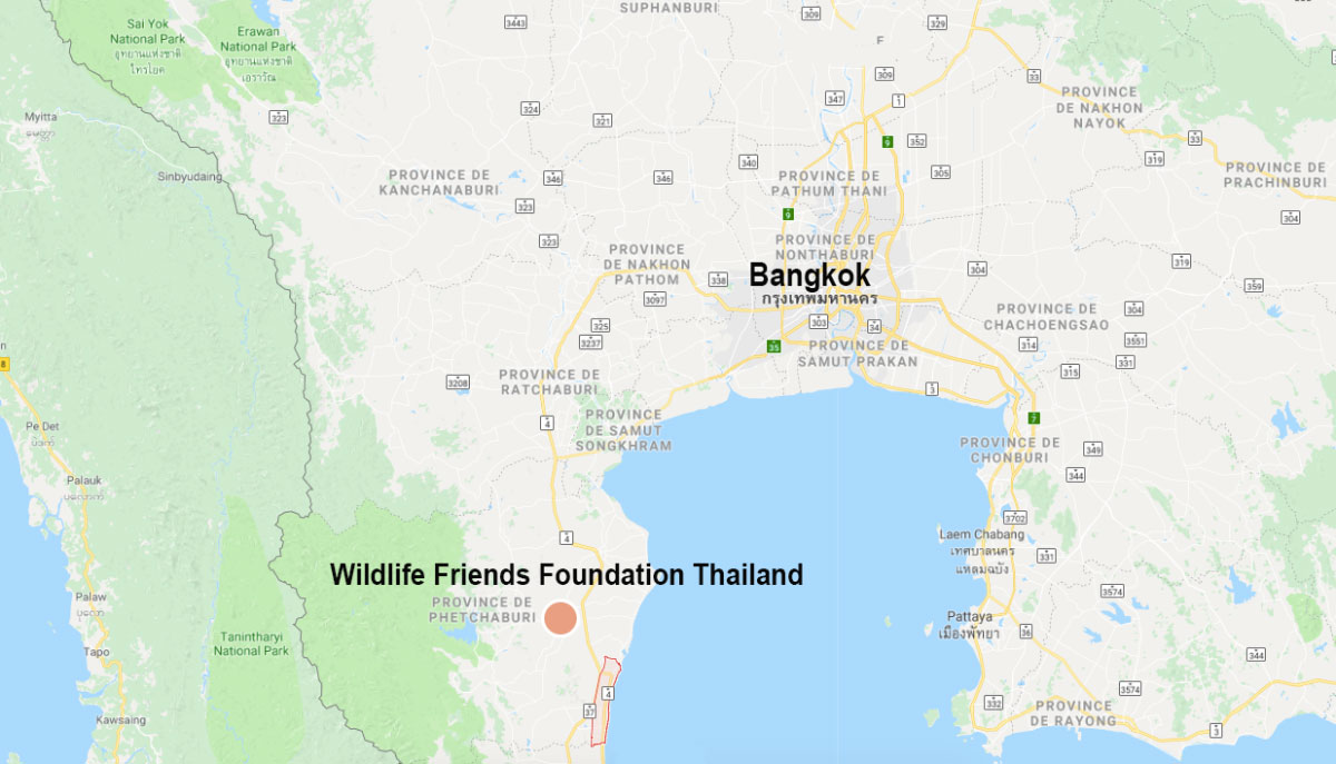 wfft