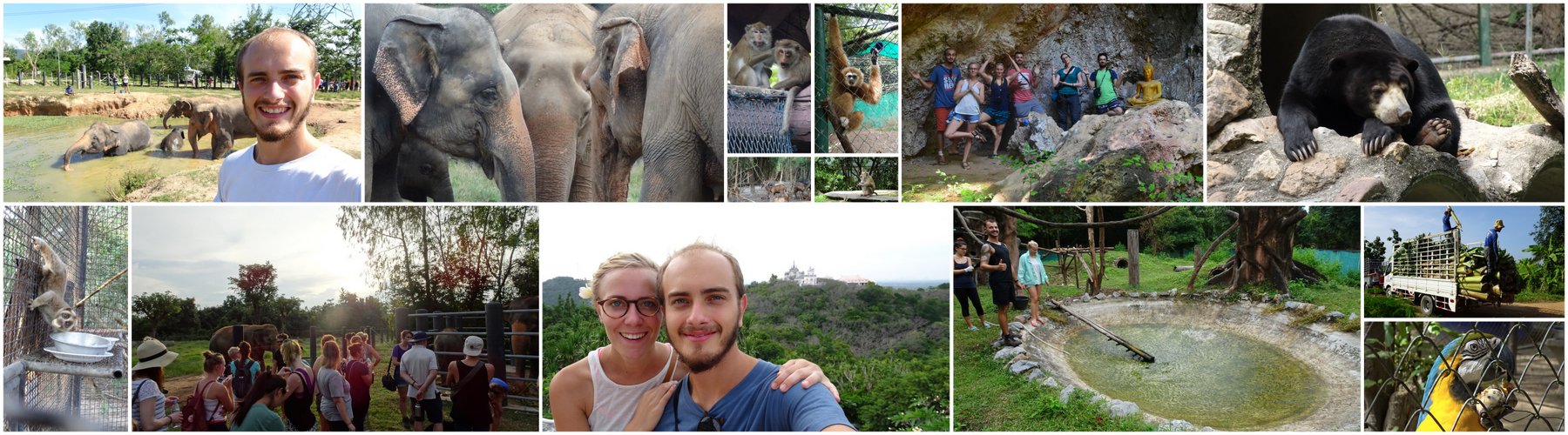 3.6 Bilan du volontariat en Thaïlande