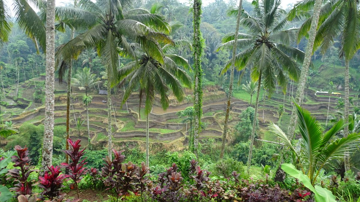 6.1 L'île de Bali