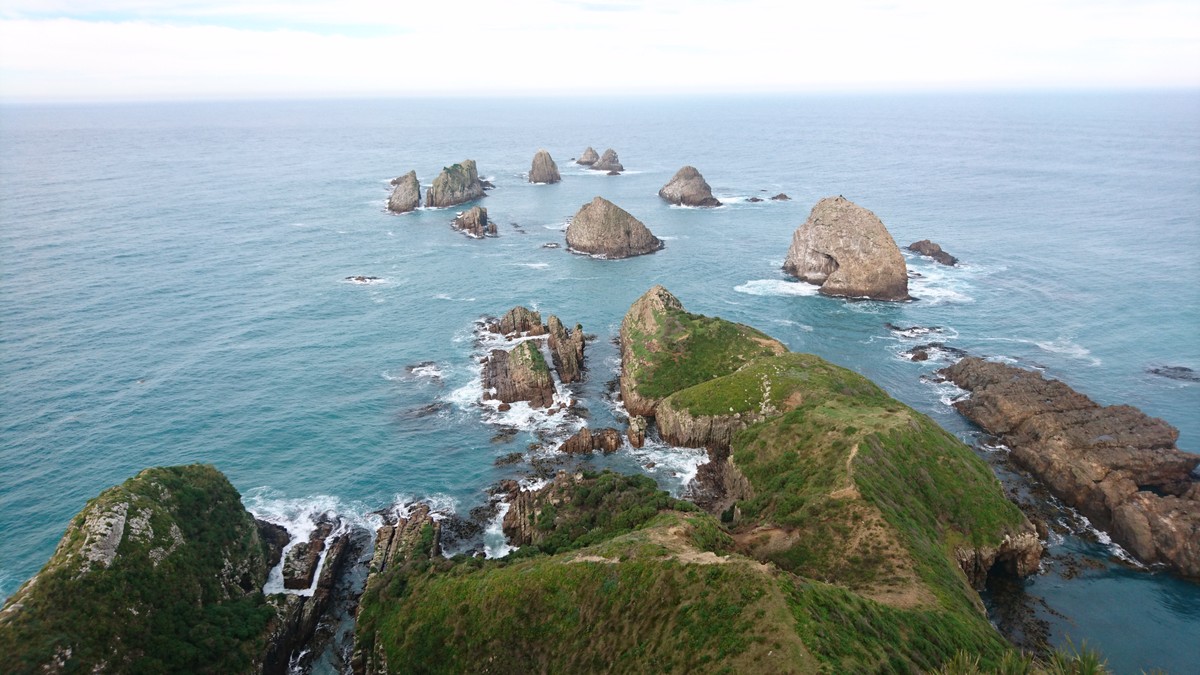 8.3 Sur la route de la New-Zealand