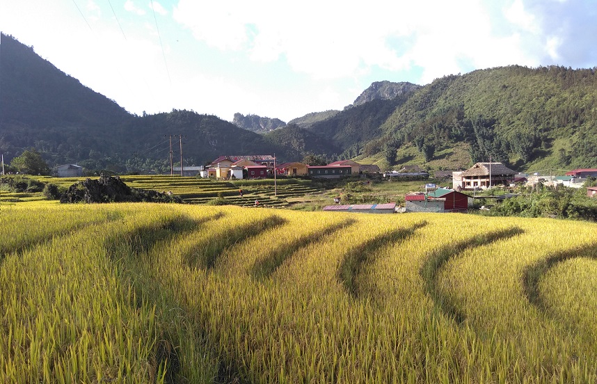 01. Viêt Nam